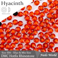 Hyacinth, 100pcs
